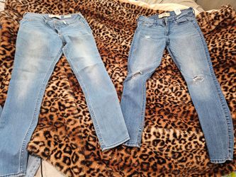 Jeans Size 7