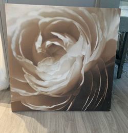 Wall Decor - Rose/Flower Canvas