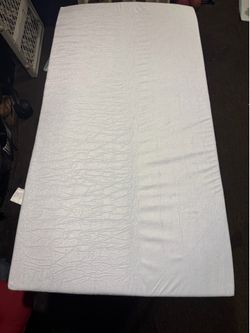 DOG BED
