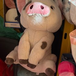 Plush From Disney Store 