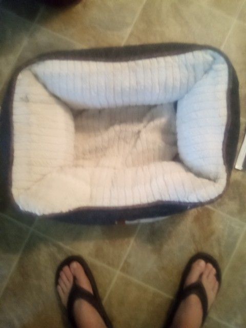 Pet Bed