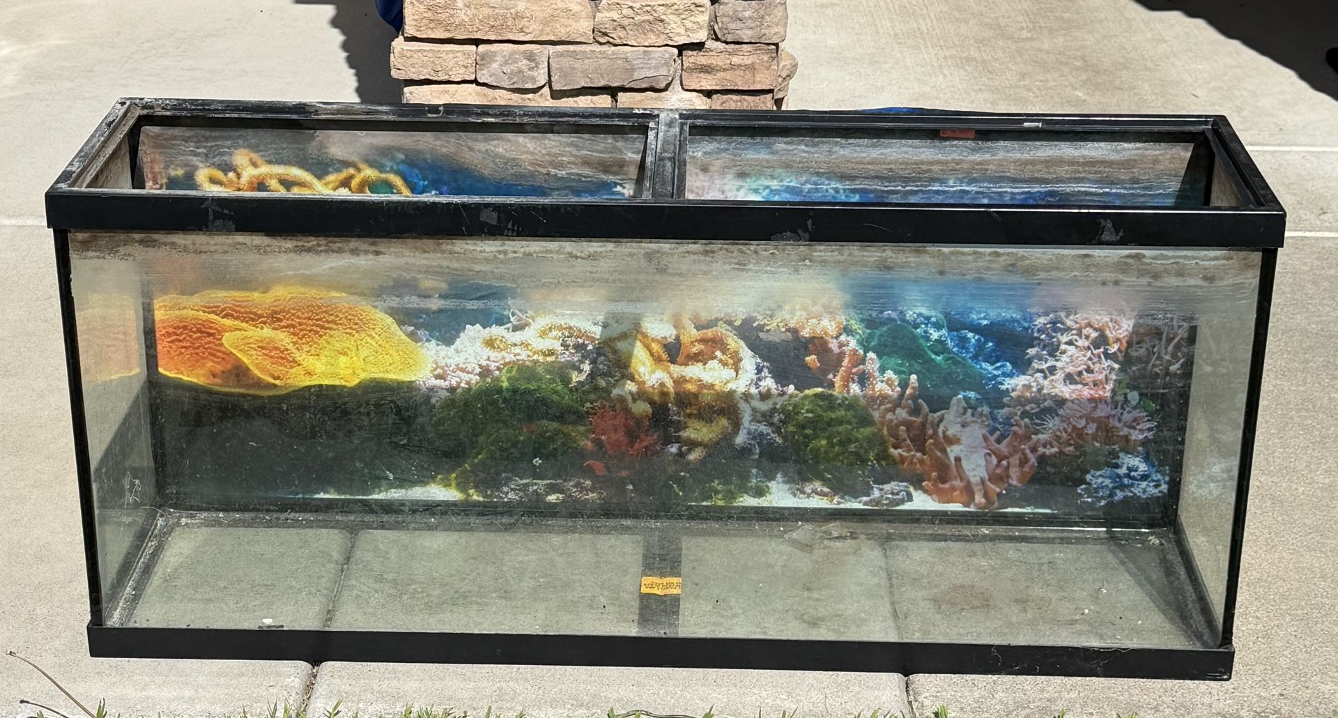 Fish/Reptile Tank