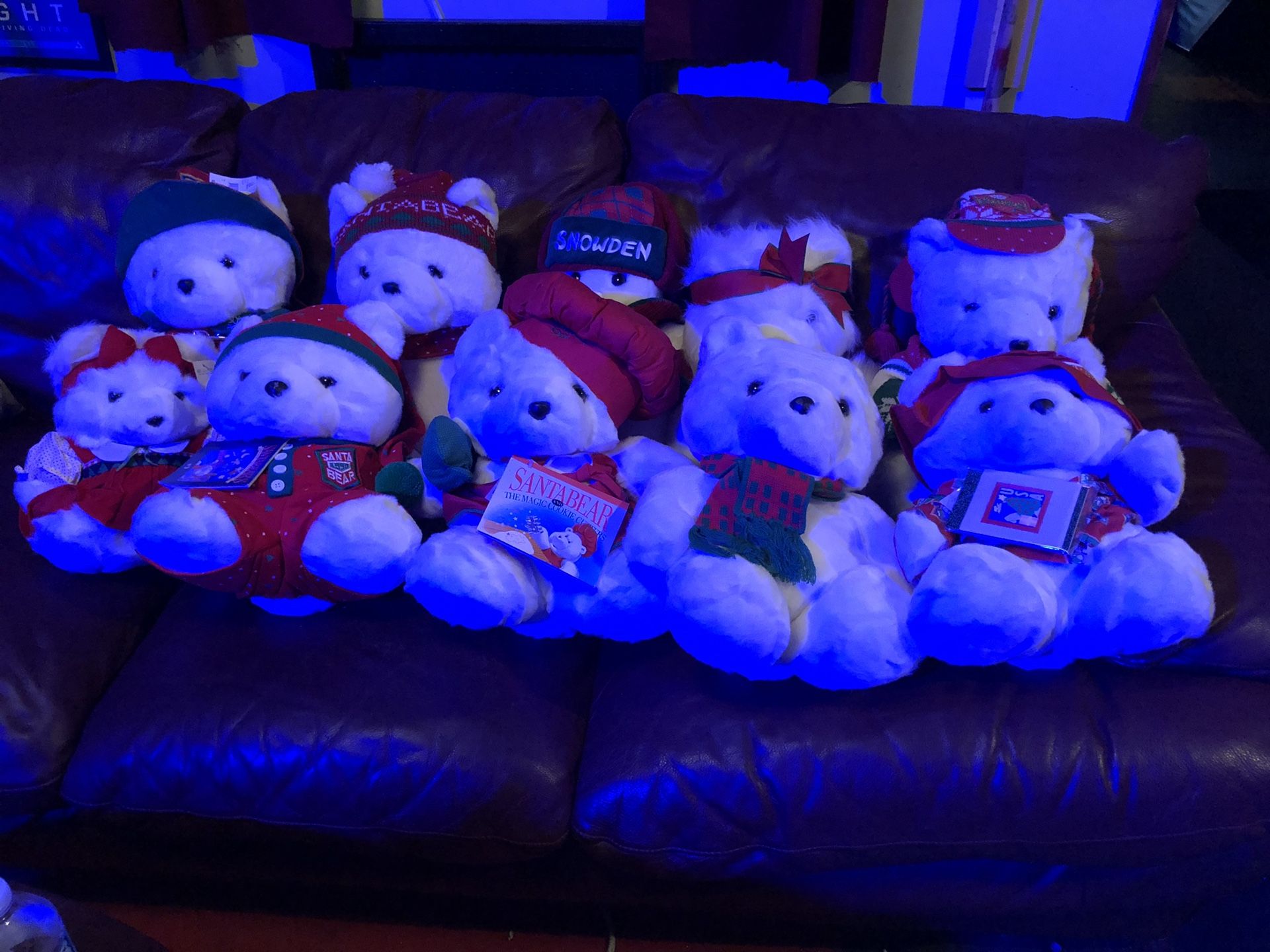 10 Santa Bears, Including the Original Santa Bear