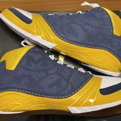 Air Jordan Retro XX3 University of Michigan Player Exclusive (FV1334 700) Size 14
