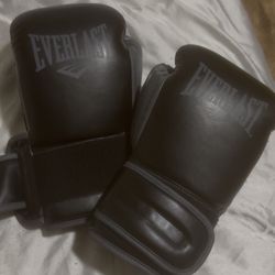 Everlast Boxinv Gloves 