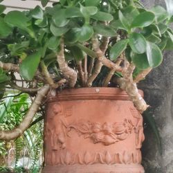 Vintage Ornate Terracotta Medium Planter/Large Flower Pot