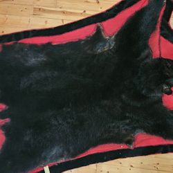 2003 Black Bear Taxidermy Rug