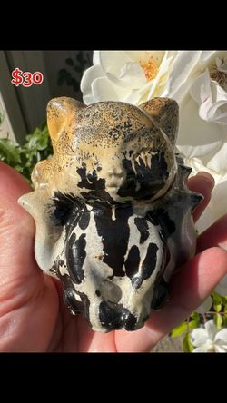 Picture jasper 9 tail fox