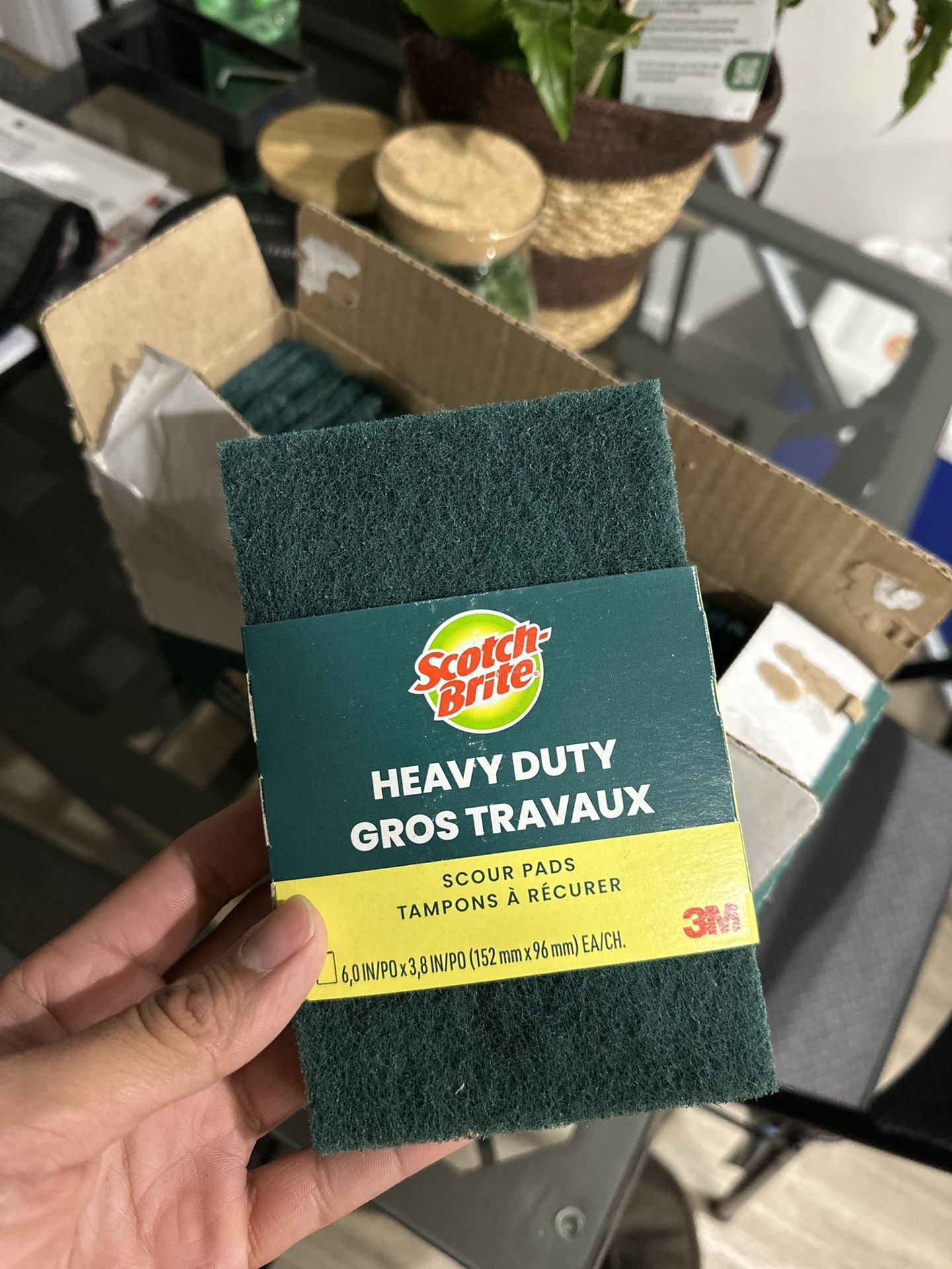 Scotch Brite Pads