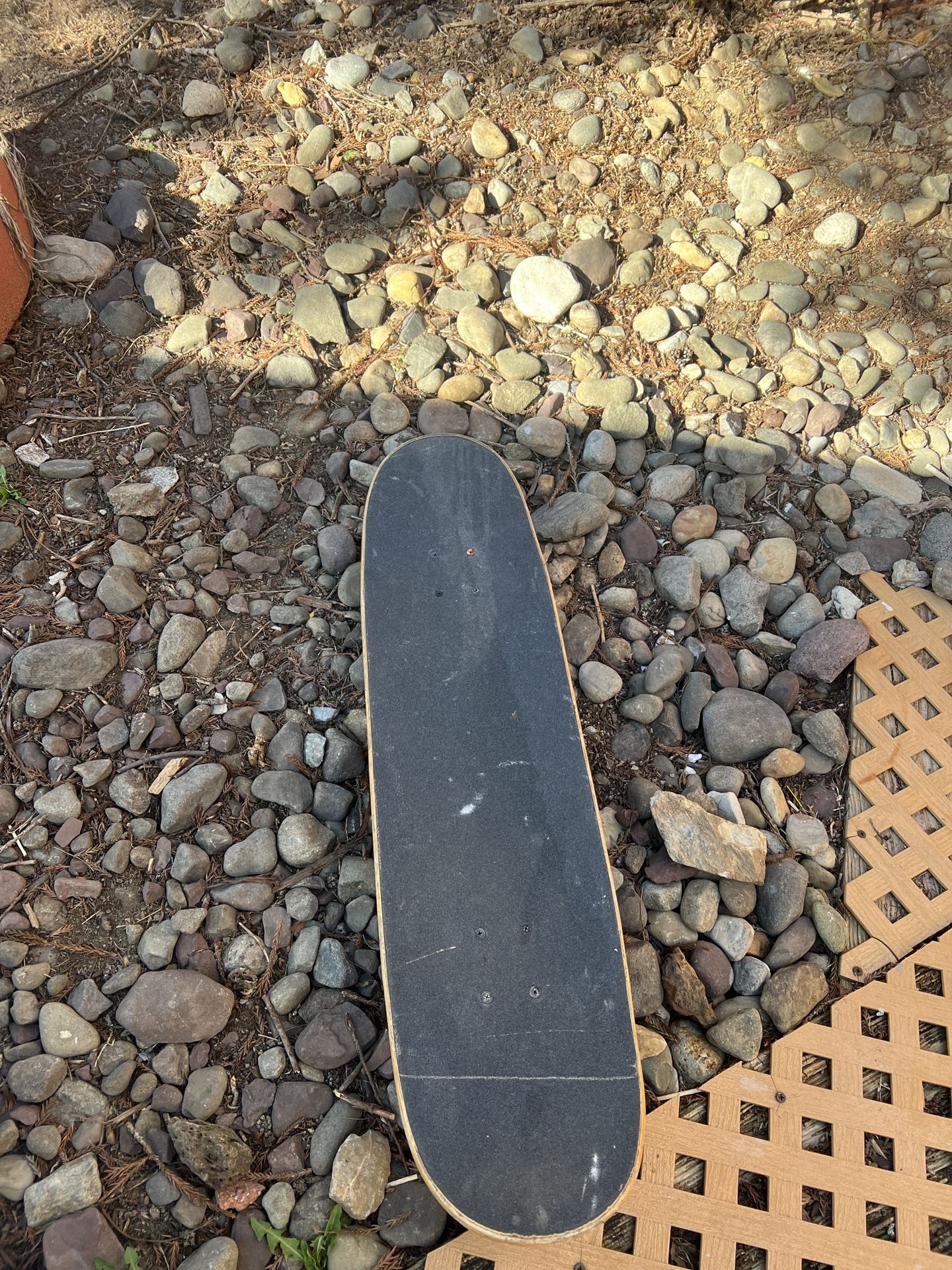 Skate Board