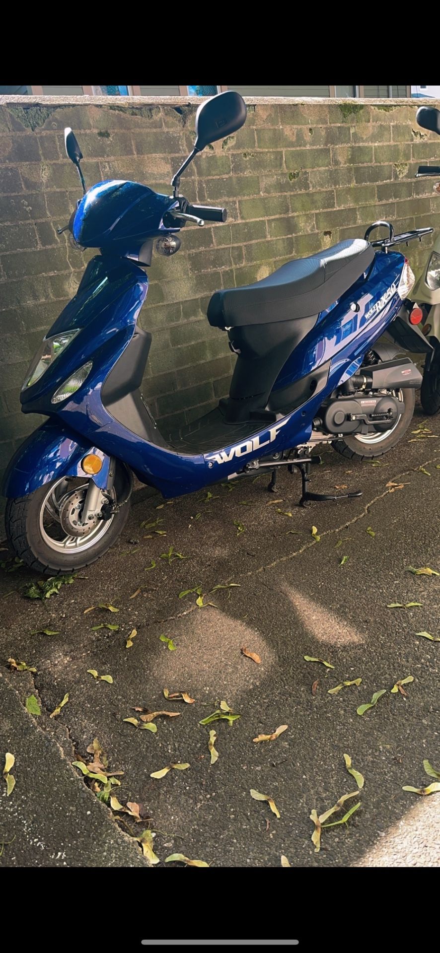 Wolf Brand Moped
