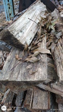 Firewood For Sale.  Ready To Burn 