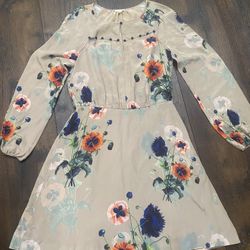 Women’s Anthropology Leifsdottlr 100% Silk Dress Size 6 #21