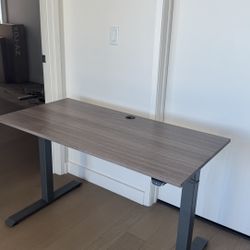 Sleek Adjustable Standing Desk
