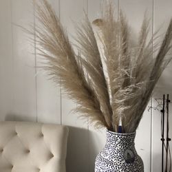 Bouquet Of Pampas 