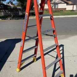 Werner 6ft Ladder