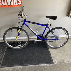 26” Mountain Bike (large Frame)