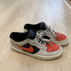 Nike SB Shoes