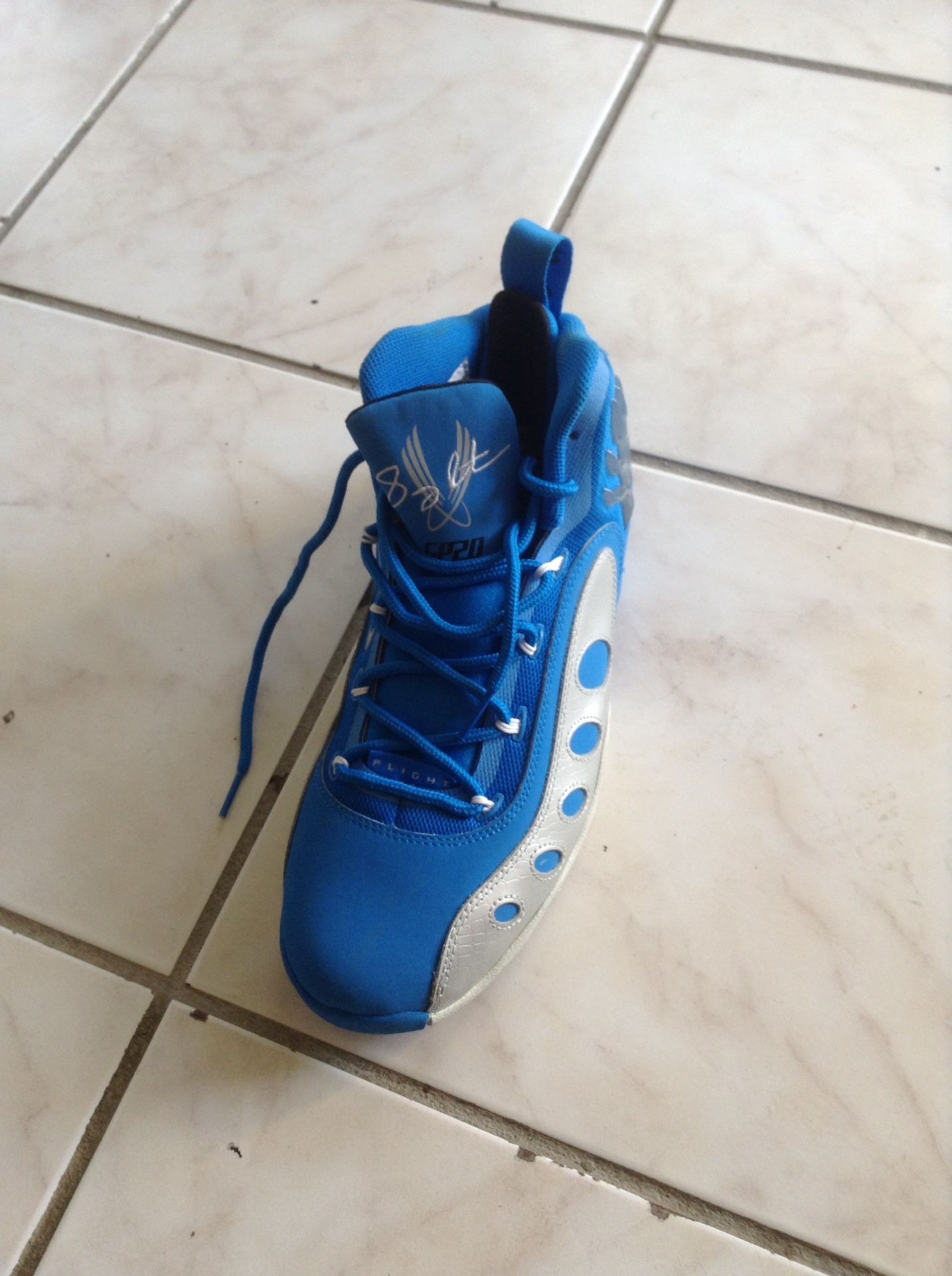 Nike "Sonic Flight"