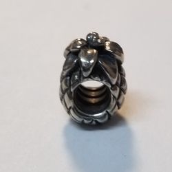 Pandora Style Charm