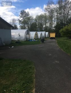 Green houses