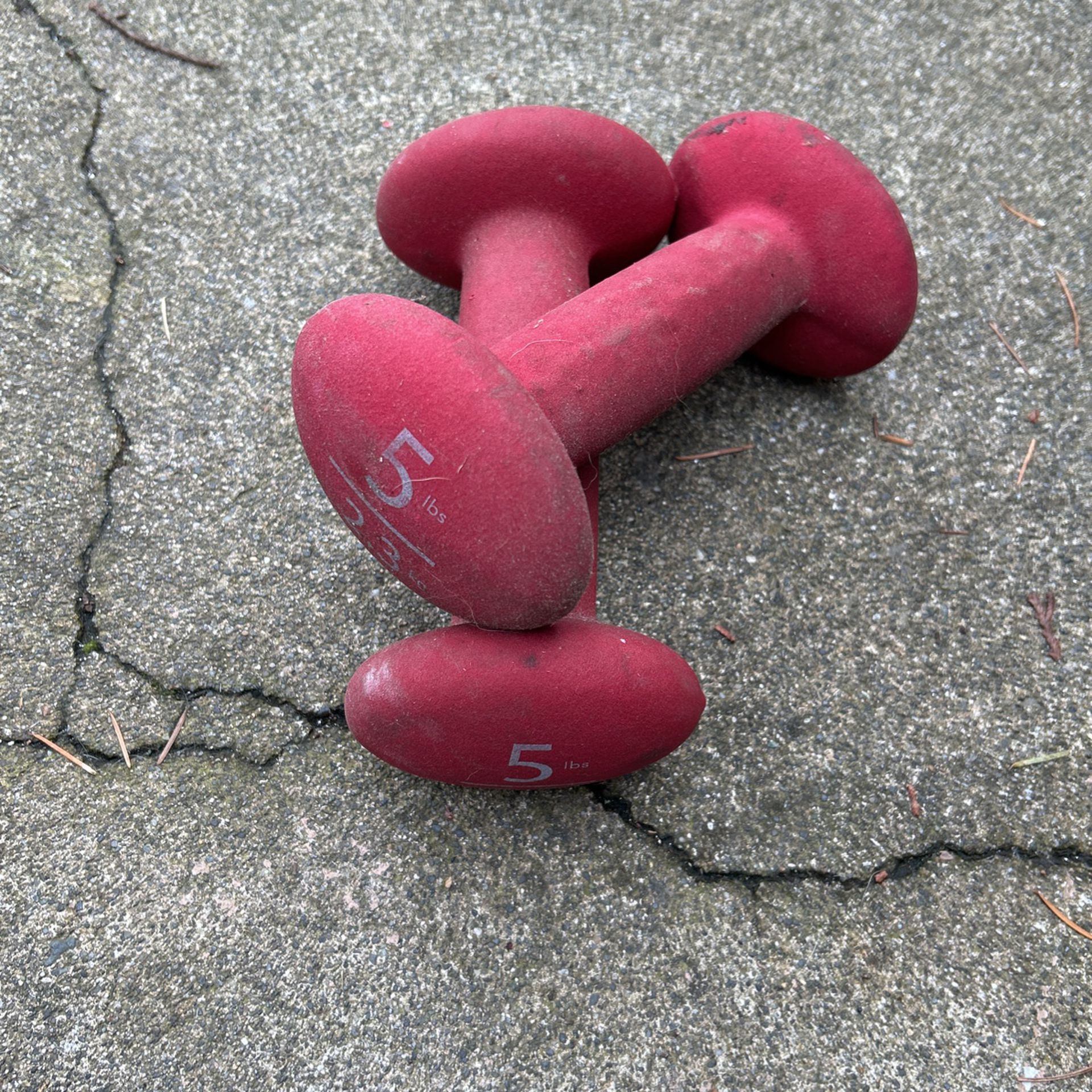 exercise Weights