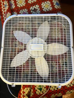 Fan