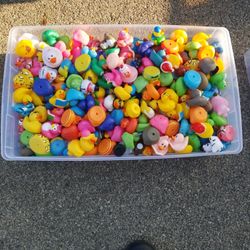 Rubber Ducks