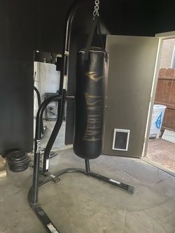 Everlast punching bag
