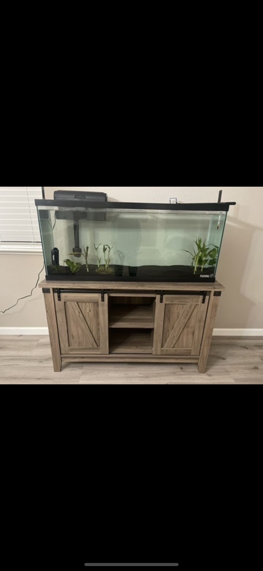 Fish Tank