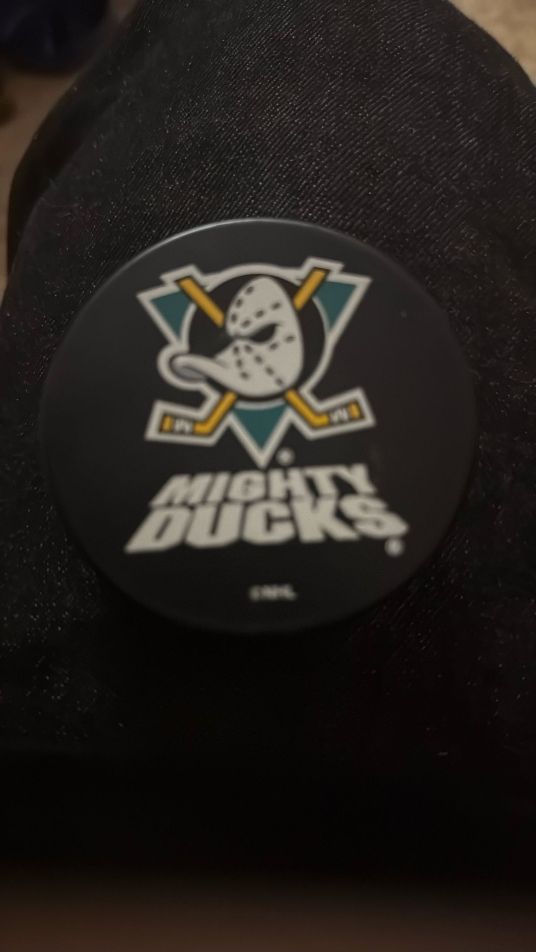 Mighty Ducks