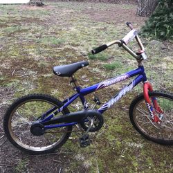 Kids 20 Inch Bmx Bike Only $30 Firm