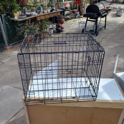 Small Dog Crater 🐕 25