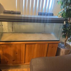 Glass Fish Tank