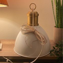 Pendant Light.