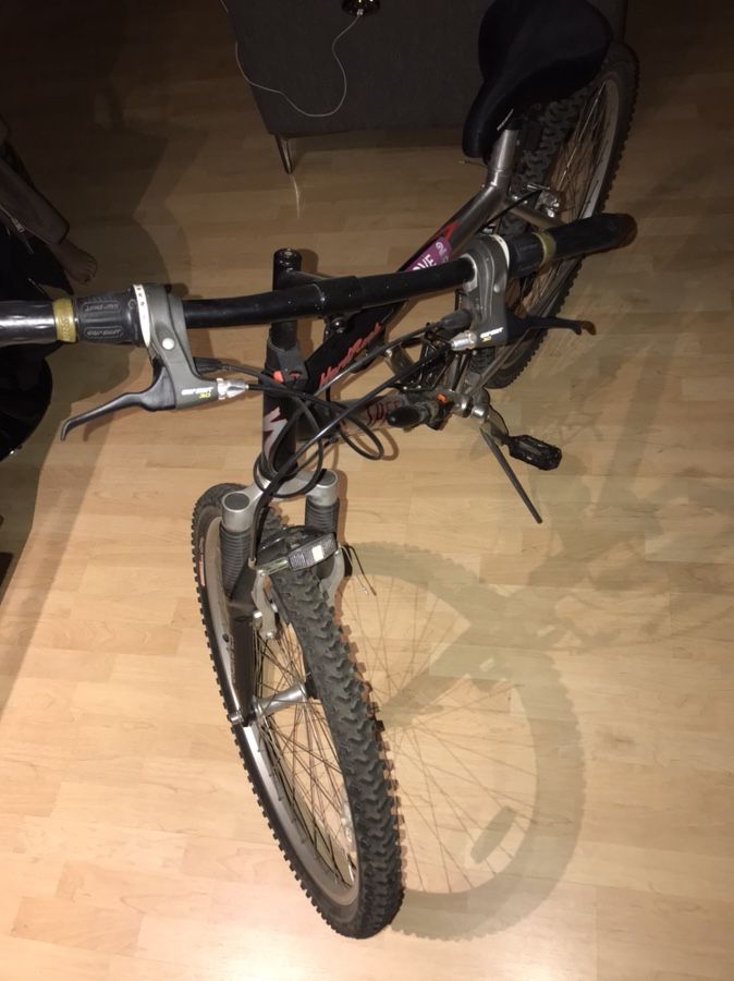 SPECIALIZED Mountain Bike