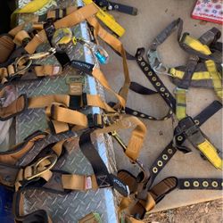 2faltech Harness For Sale 1sala Harness 1 Mas Harness For Sale 