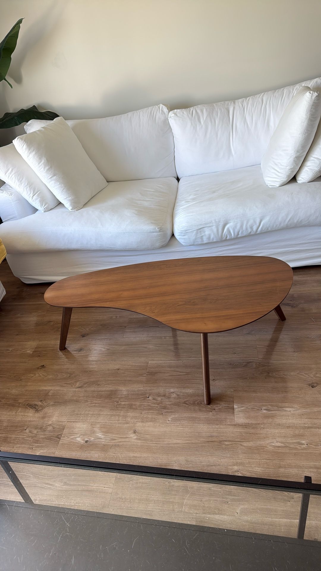 Modern Coffee Table