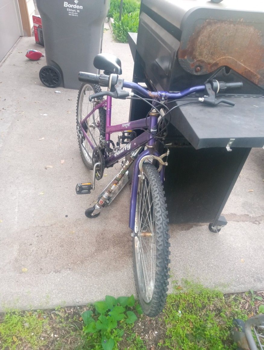 Mountain Bike