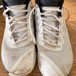 Mens Nike Lebron Witness II 942518-100 White/White Size 10