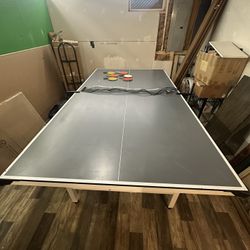 Ping Pong Table