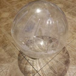 Hamster Ball 