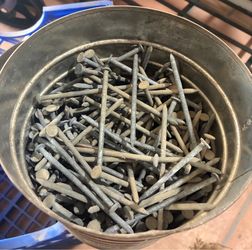 Galvanized spike nails