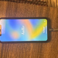 iPhone 11 Pro Max (Pristine condition)