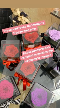 Rosas preservadas para el día de la madre ! Hermoso regalo