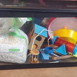 Hamster 🐹 Tank