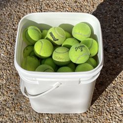 Used Tennis Balls Dog Toys (40)