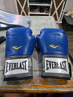 Everlast Pro Style Training Gloves Model 2212 12 Oz Blue Heavy Bag Training