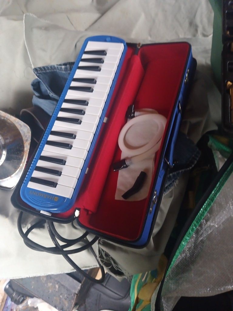 Melodica Intrument