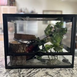 Reptile/Amphibian Cage With Accessories 